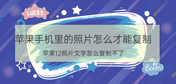 苹果手机里的照片怎么才能复制 苹果12照片文字怎么复制不了？